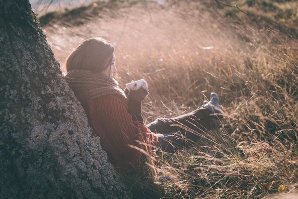 Les plantes et huiles essentielles pour combattre le stress